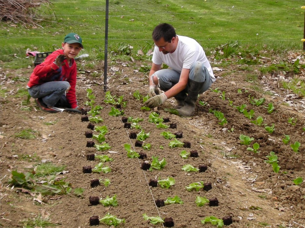 SANYO DIGITAL CAMERA