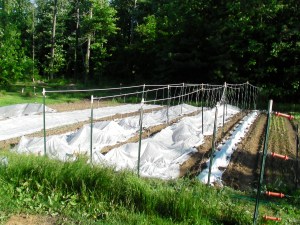 SANYO DIGITAL CAMERA