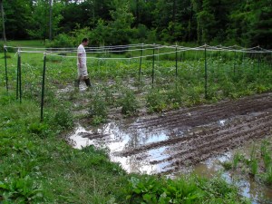 SANYO DIGITAL CAMERA