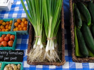 SANYO DIGITAL CAMERA