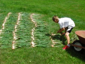 SANYO DIGITAL CAMERA