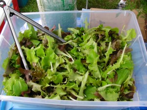 SANYO DIGITAL CAMERA