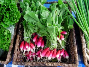 SANYO DIGITAL CAMERA