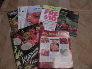 SANYO DIGITAL CAMERA