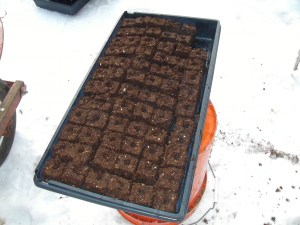 SANYO DIGITAL CAMERA