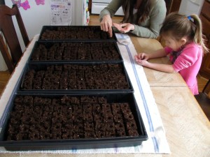 SANYO DIGITAL CAMERA