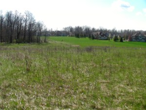 SANYO DIGITAL CAMERA