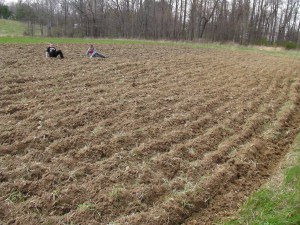 SANYO DIGITAL CAMERA