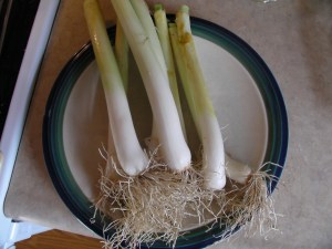 SANYO DIGITAL CAMERA