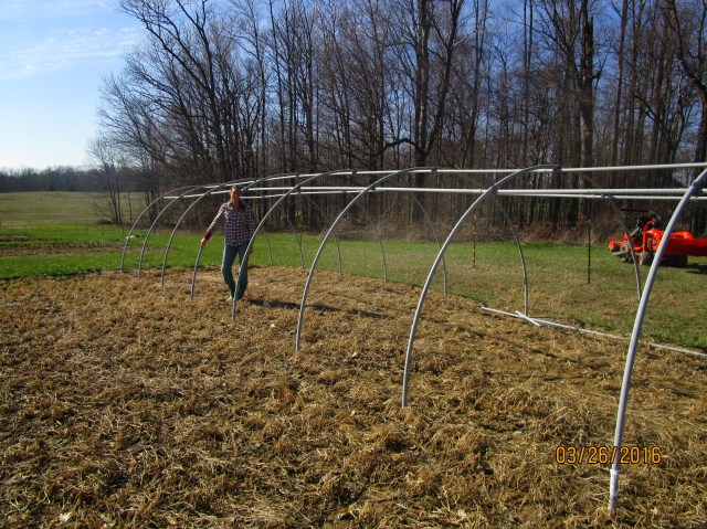 Saltzgiver Family Farm photo 22